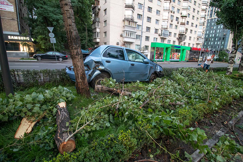 В Киеве автомобиль такси снес дерево и вылетел на аллею