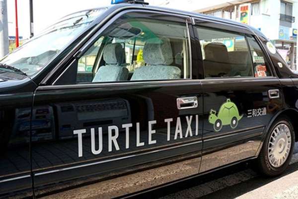 В Японии предлагают услугу «черепашьего такси»